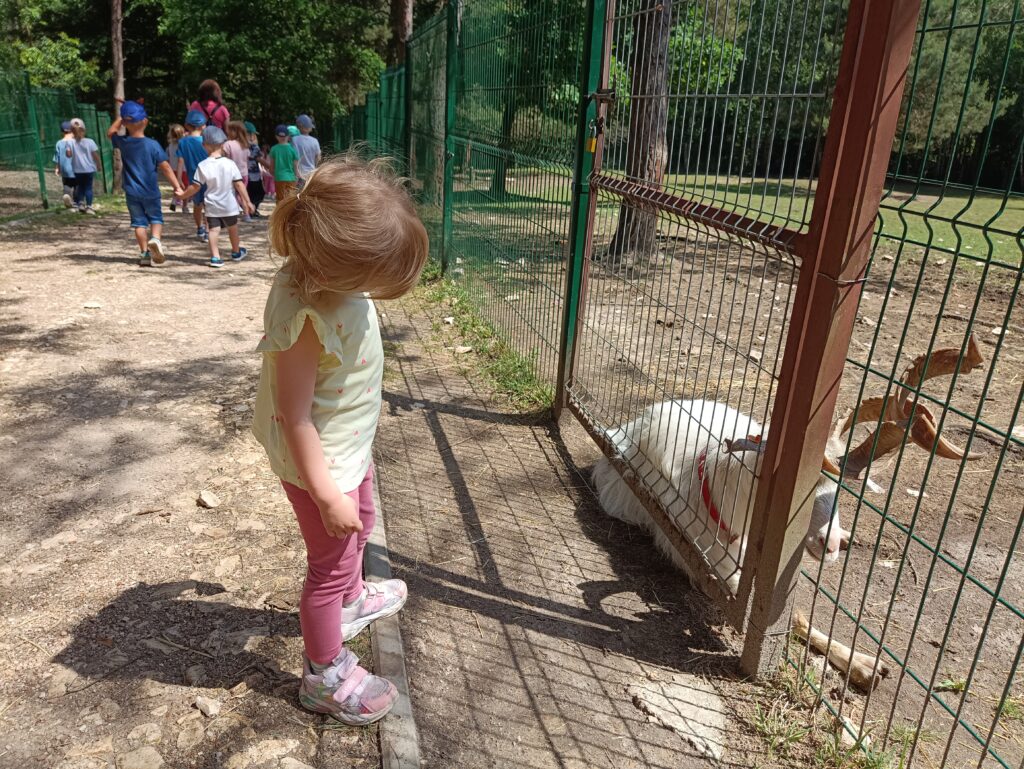 WYCIECZKA DO ZOO LEŚNE ZACISZE