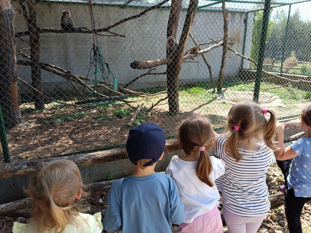 WYCIECZKA DO ZOO LEŚNE ZACISZE