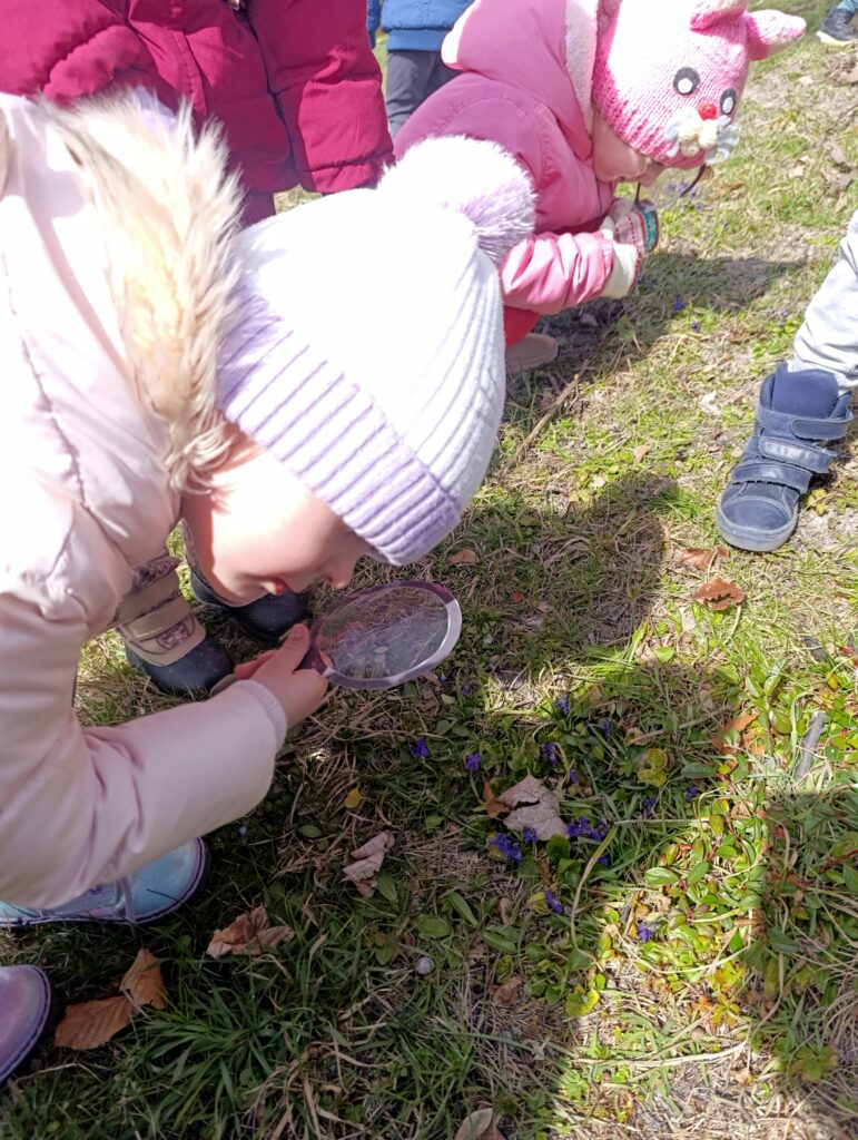 POSZUKIWACZE WIOSNY