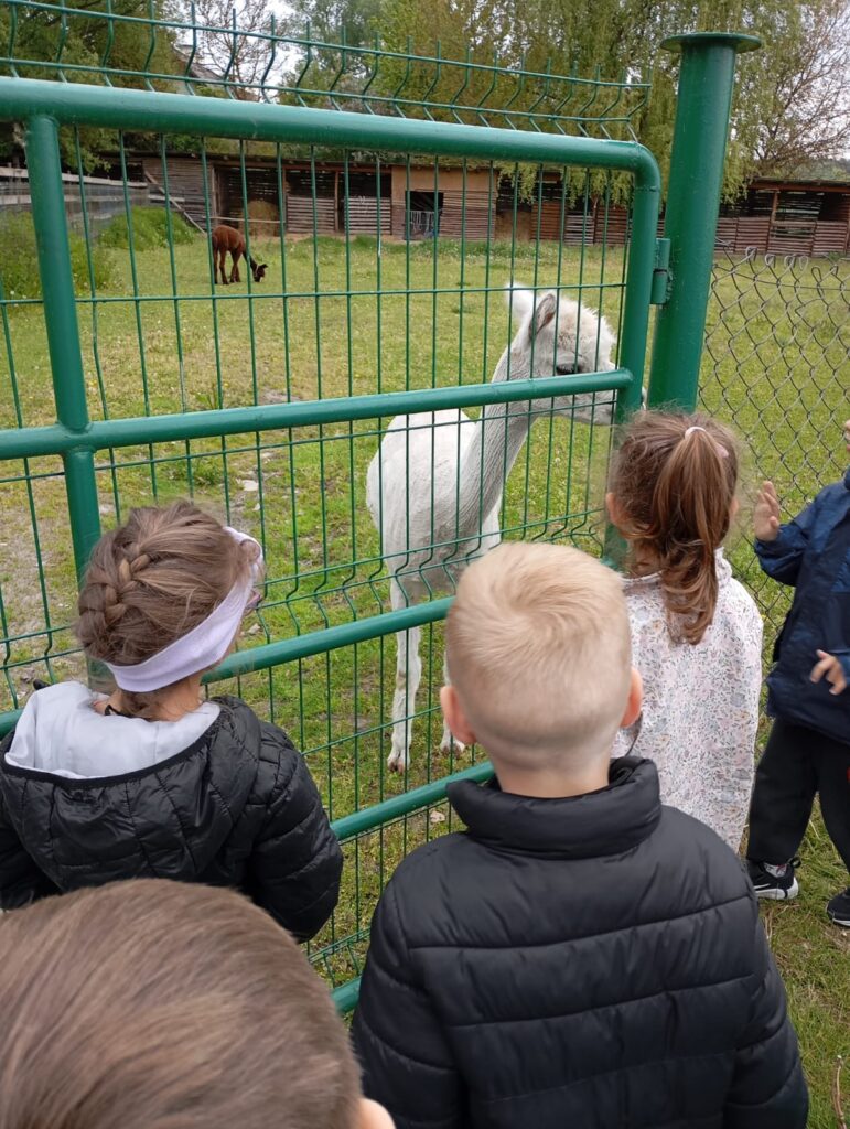 Wycieczka do Kurozwęk grupa ''Motylki''