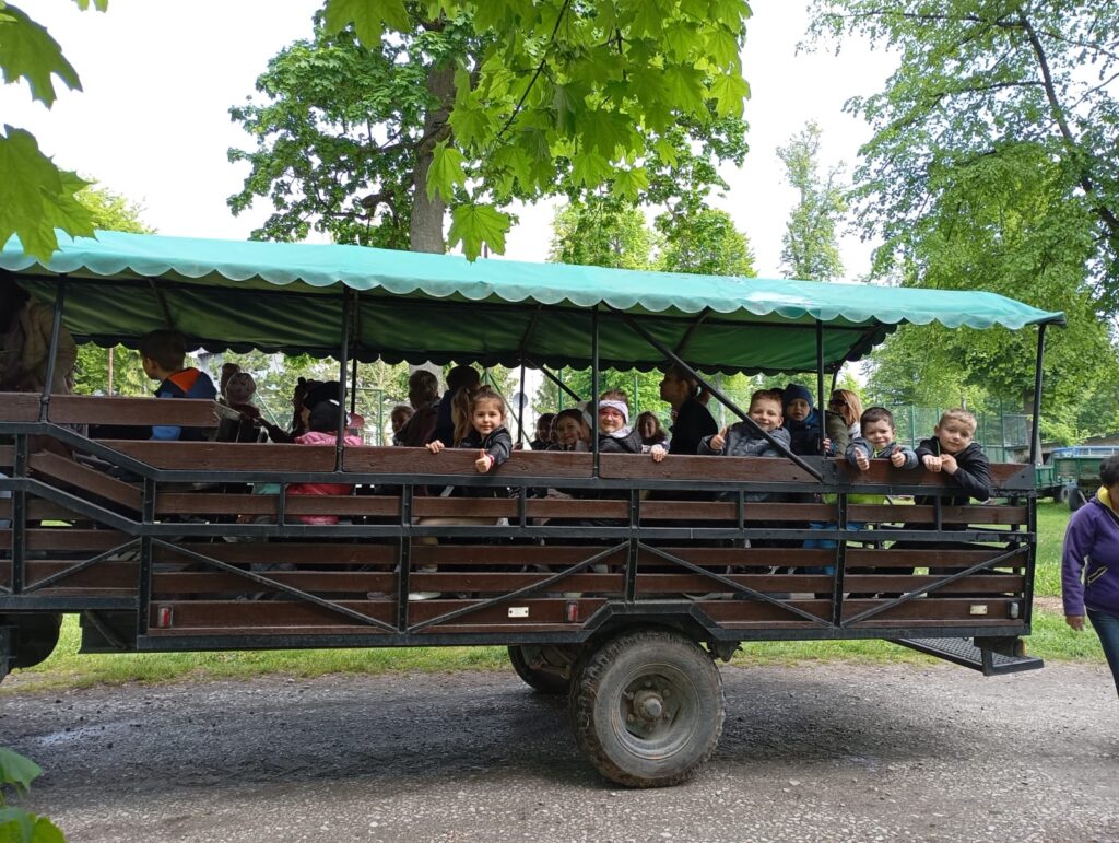 Wycieczka do Kurozwęk grupa ''Motylki''
