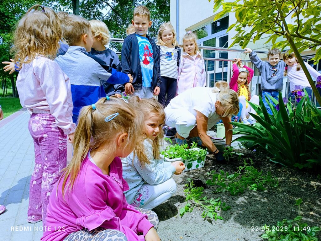 ''Żyrafkowe''  pomidorki 
