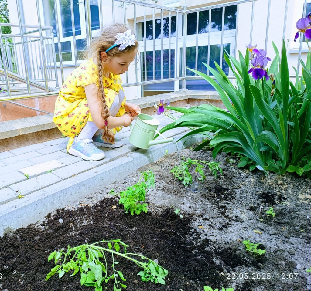 ''Żyrafkowe''  pomidorki 