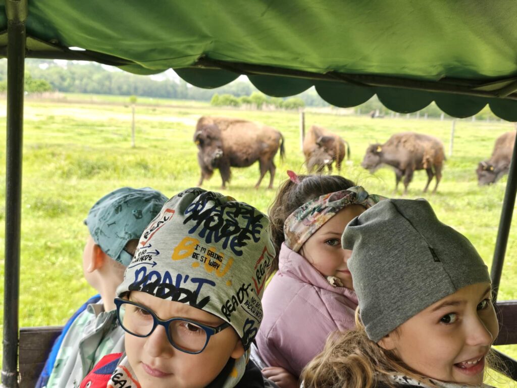Wycieczka do Kurozwęk grupa ''Pszczółki''