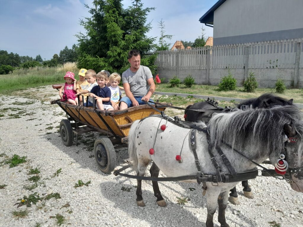 WYCIECZKA DO LEŚNEGO PRZYTULISKA