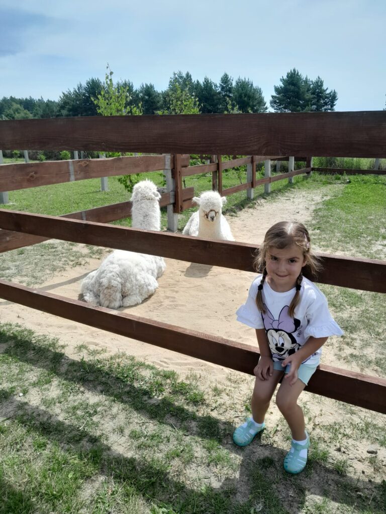 WYCIECZKA DO LEŚNEGO PRZYTULISKA
