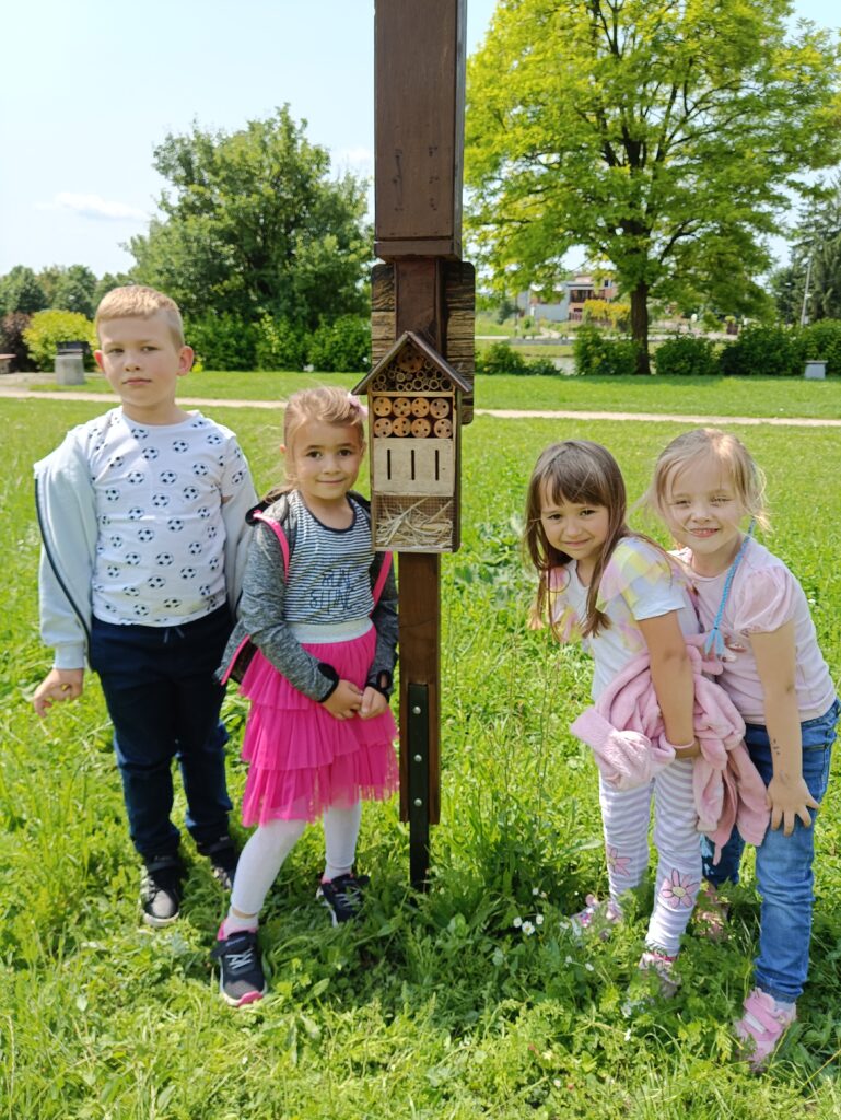 Wiewiórki na łące