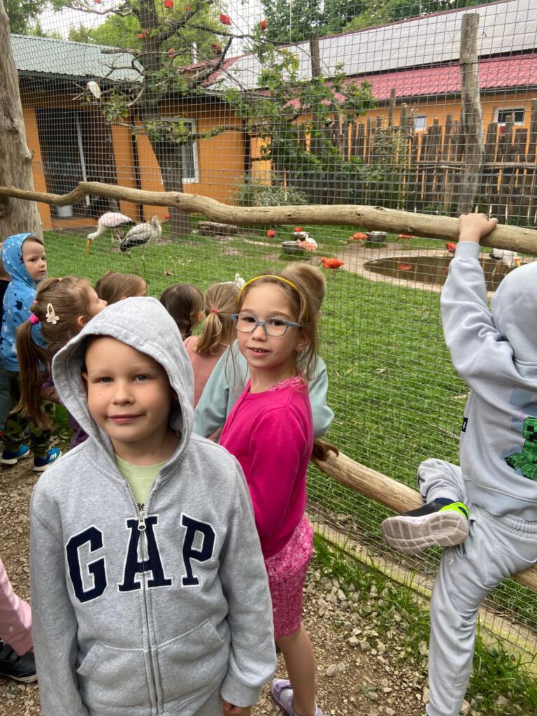 Wycieczka do ZOO ''Leśne zacisze'' grupa "Żyrafki"