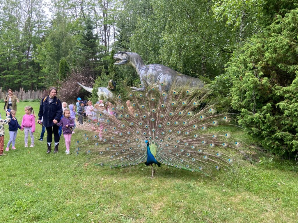 Wycieczka do ZOO ''Leśne zacisze'' grupa "Żyrafki"