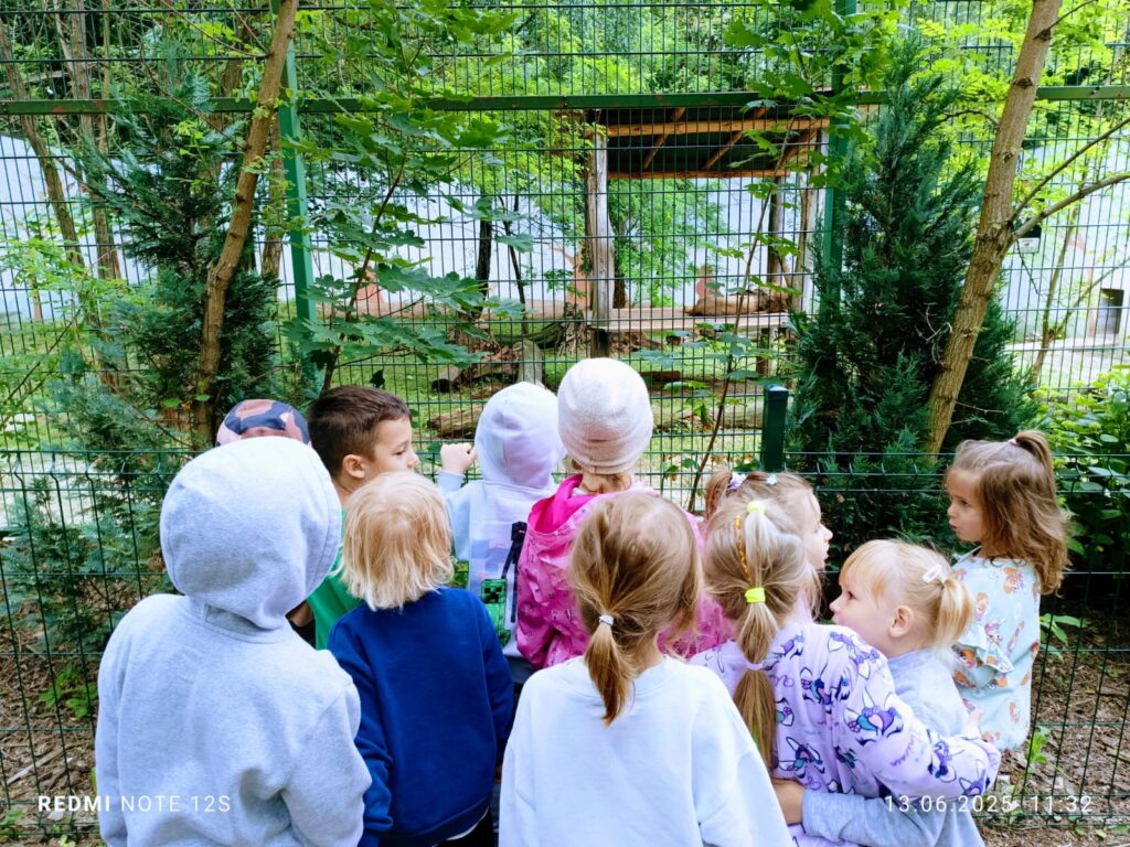 Wycieczka do ZOO ''Leśne zacisze'' grupa "Żyrafki"