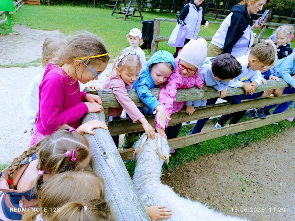 Wycieczka do ZOO ''Leśne zacisze'' grupa "Żyrafki"