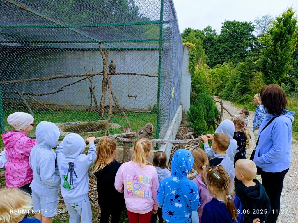 Wycieczka do ZOO ''Leśne zacisze'' grupa "Żyrafki"