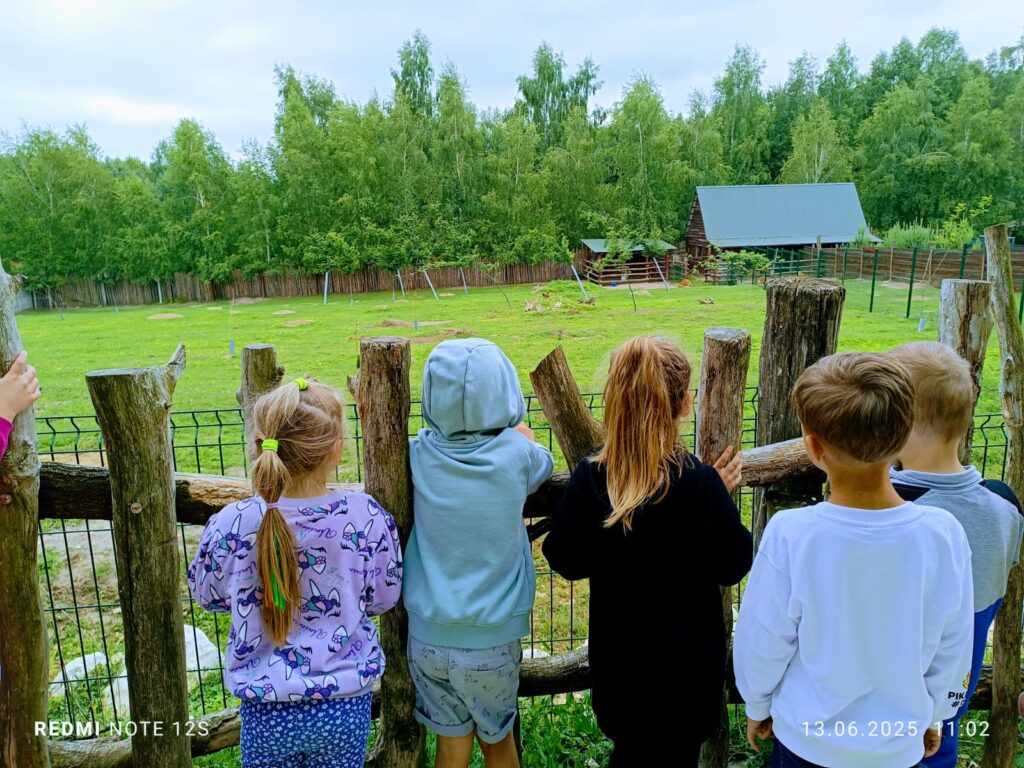 Wycieczka do ZOO ''Leśne zacisze'' grupa "Żyrafki"