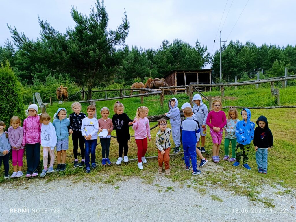 Wycieczka do ZOO ''Leśne zacisze'' grupa "Żyrafki"