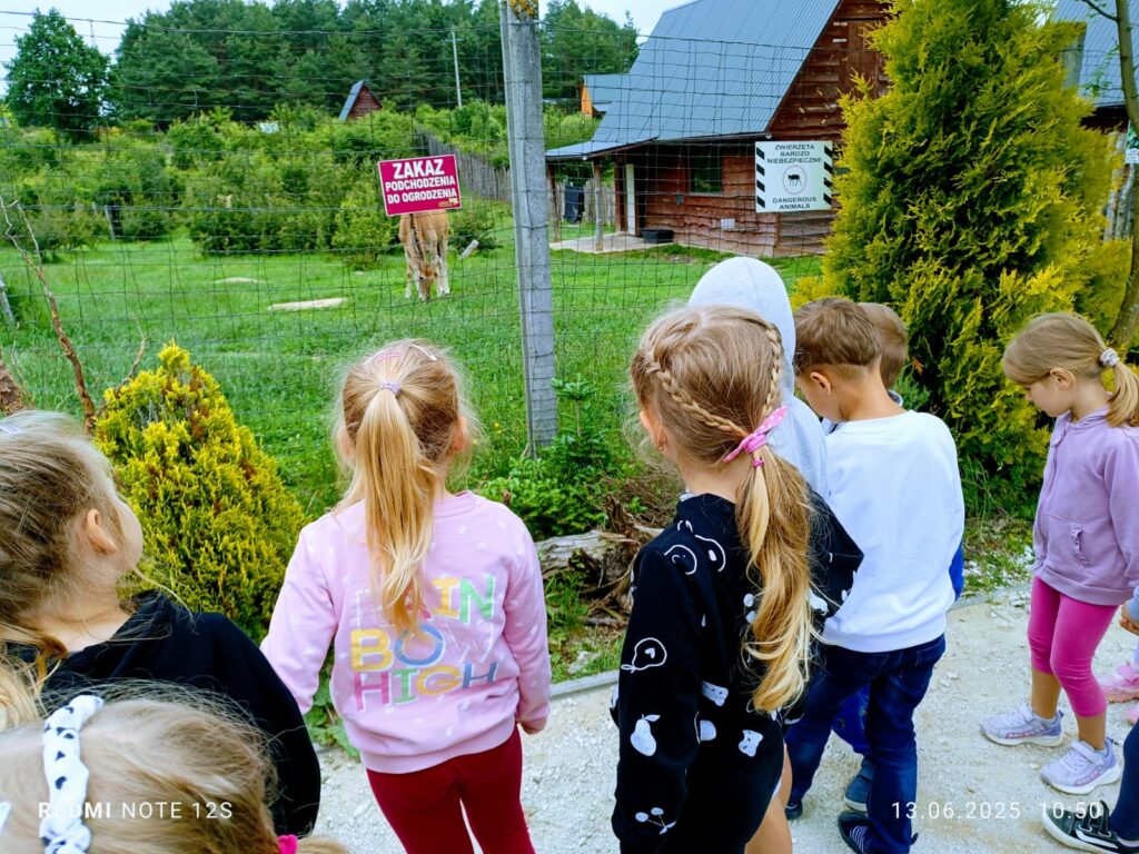 Wycieczka do ZOO ''Leśne zacisze'' grupa "Żyrafki"