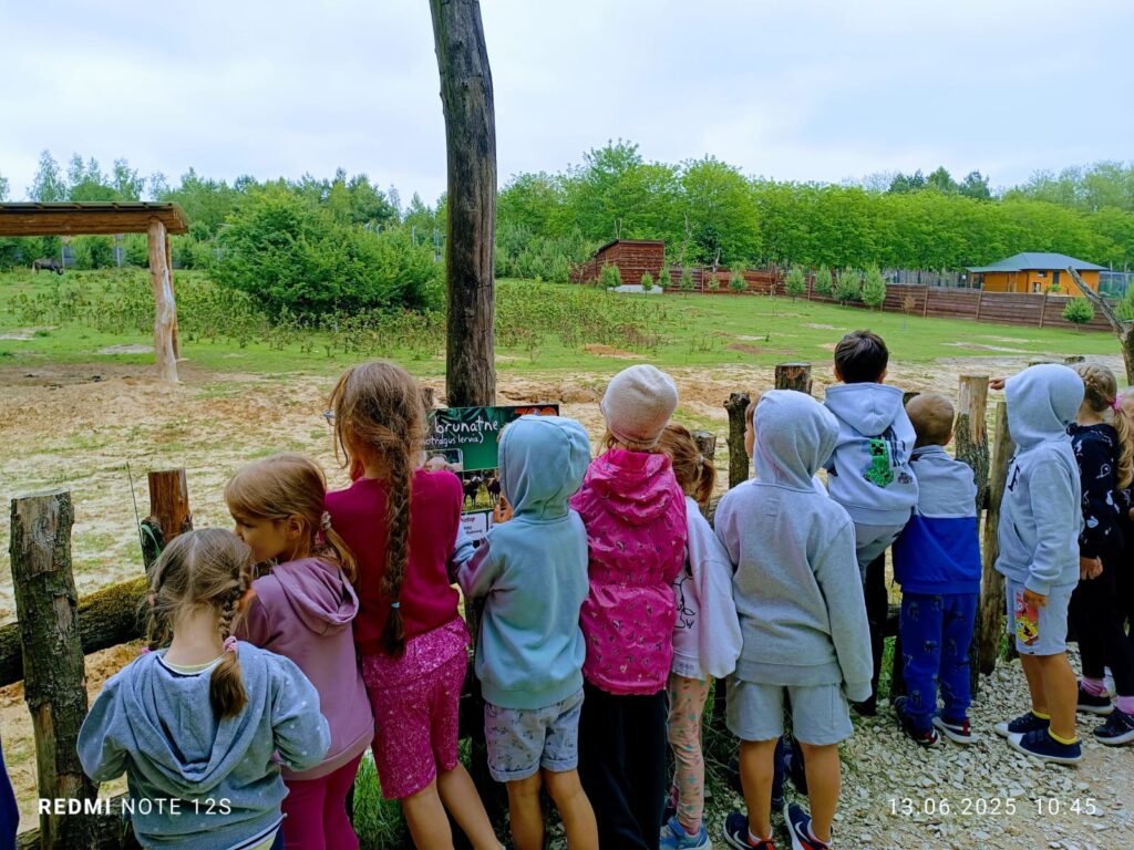 Wycieczka do ZOO ''Leśne zacisze'' grupa "Żyrafki"