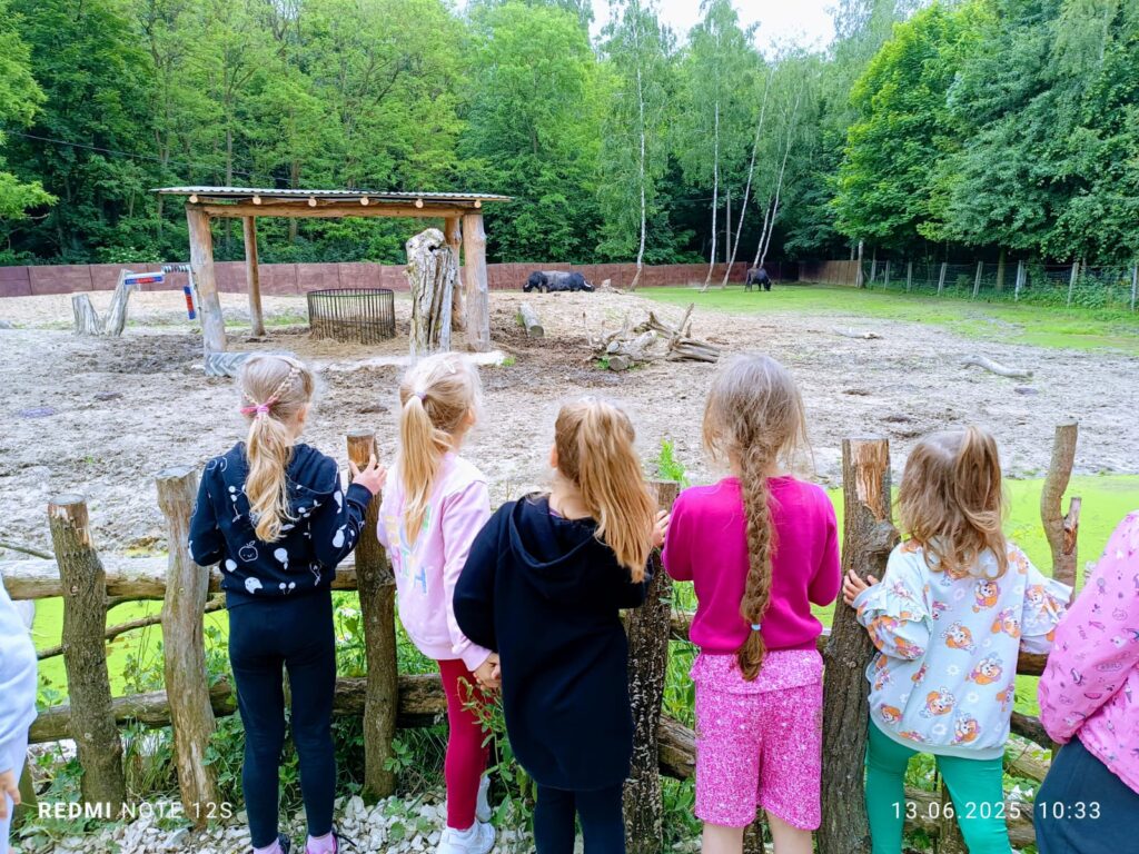 Wycieczka do ZOO ''Leśne zacisze'' grupa "Żyrafki"