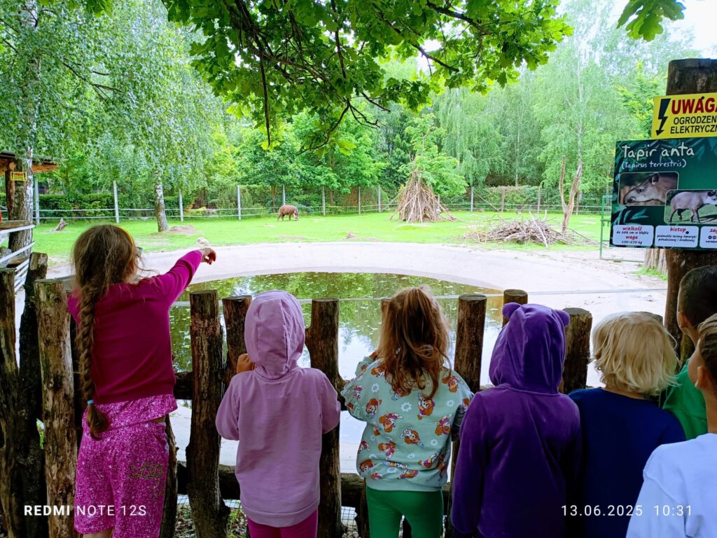 Wycieczka do ZOO ''Leśne zacisze'' grupa "Żyrafki"