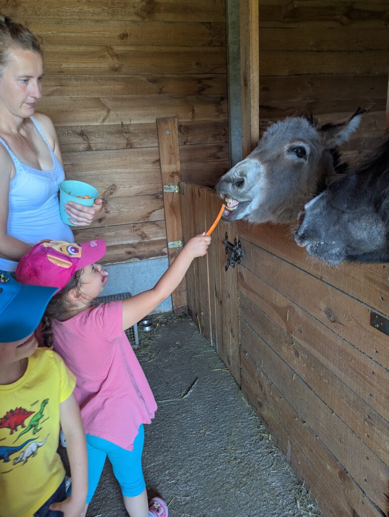 Wycieczka do Leśnego Przytuliska