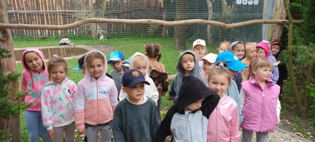 Papużki w Leśnym Zoo