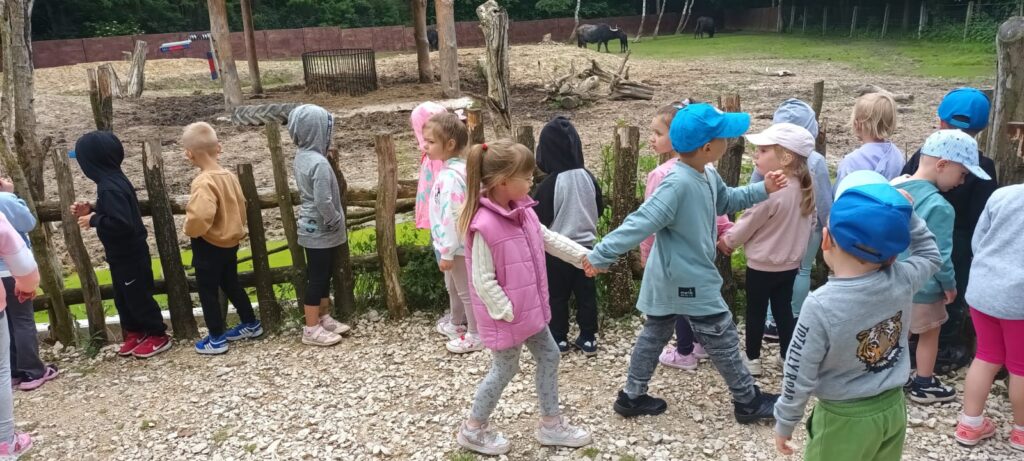 Papużki w Leśnym Zoo