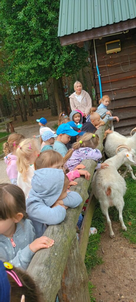 Papużki w Leśnym Zoo