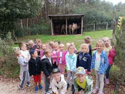 WYCIECZKA DO ZOO - GRUPA ŻYRAFKI 