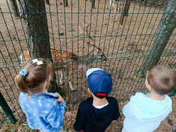 WYCIECZKA DO ZOO - GRUPA ŻYRAFKI 