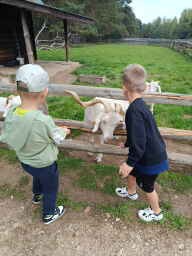 WYCIECZKA DO ZOO - GRUPA ŻYRAFKI 