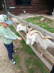 WYCIECZKA DO ZOO - GRUPA ŻYRAFKI 
