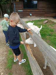 WYCIECZKA DO ZOO - GRUPA ŻYRAFKI 