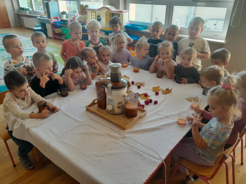 Sok z owoców i warzyw