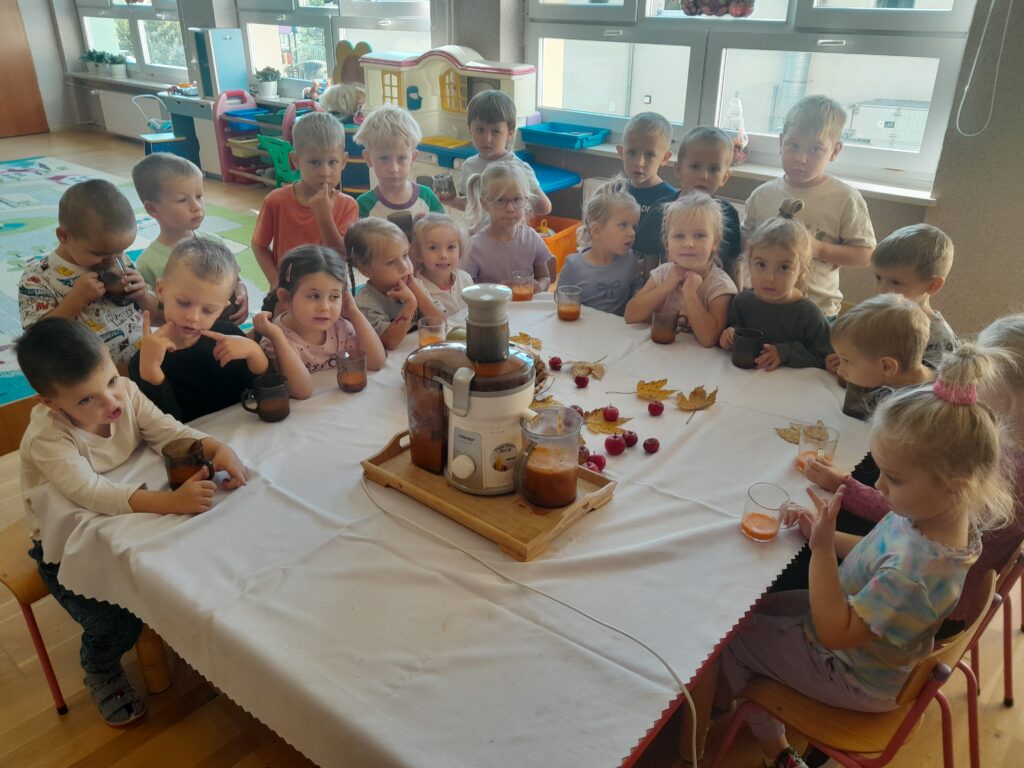 Sok z owoców i warzyw
