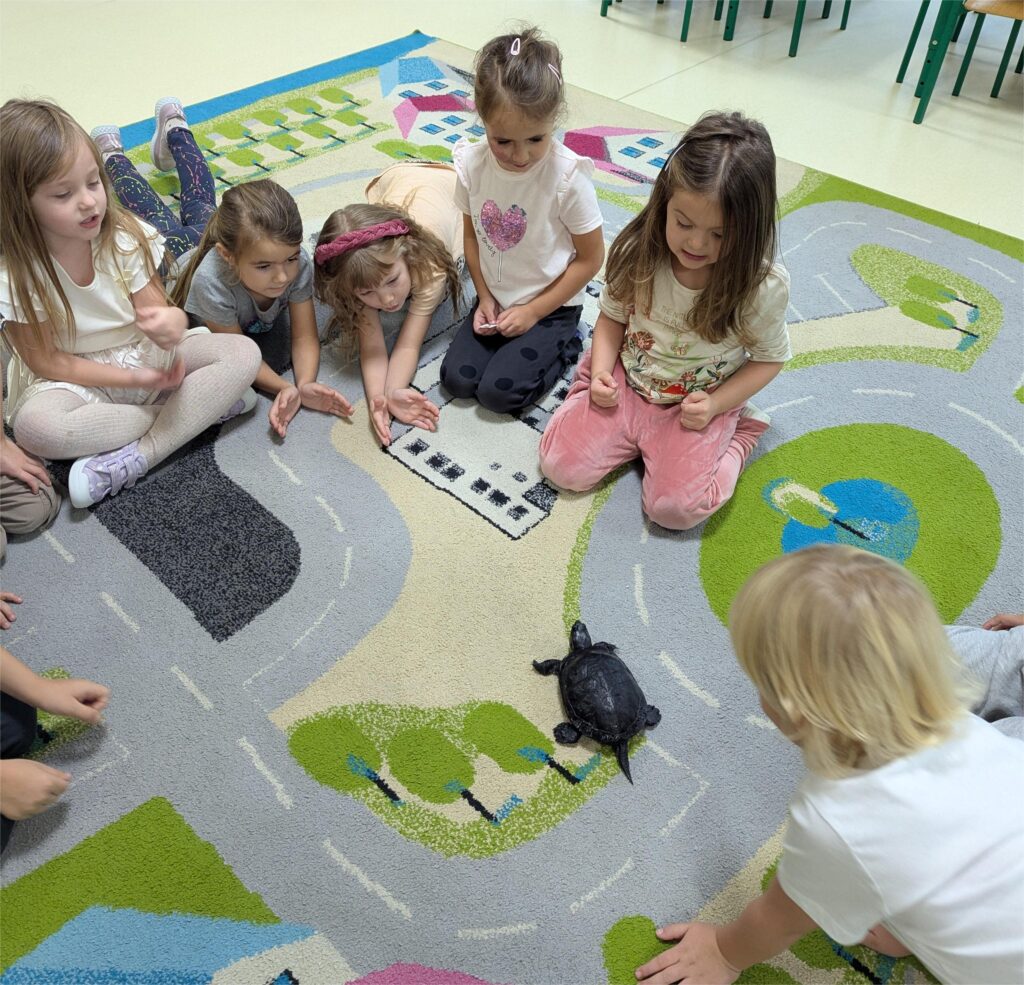 ŻÓŁW TUPTUŚ U TYGRYSKÓW