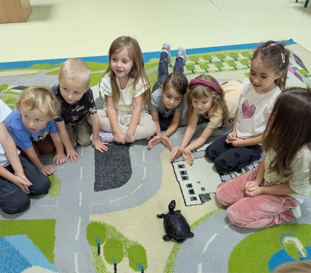 ŻÓŁW TUPTUŚ U TYGRYSKÓW