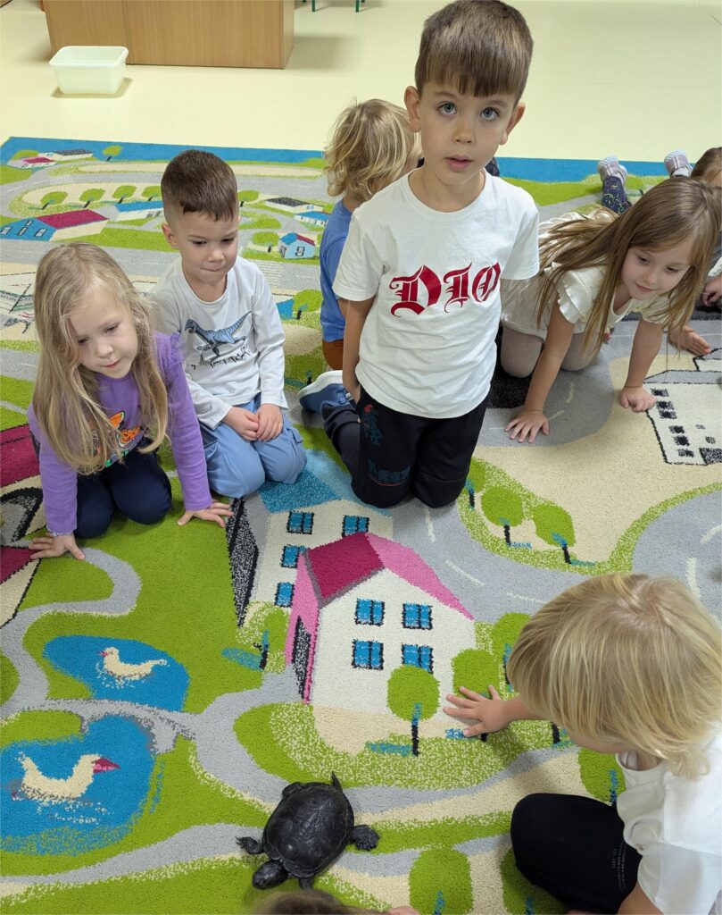 ŻÓŁW TUPTUŚ U TYGRYSKÓW