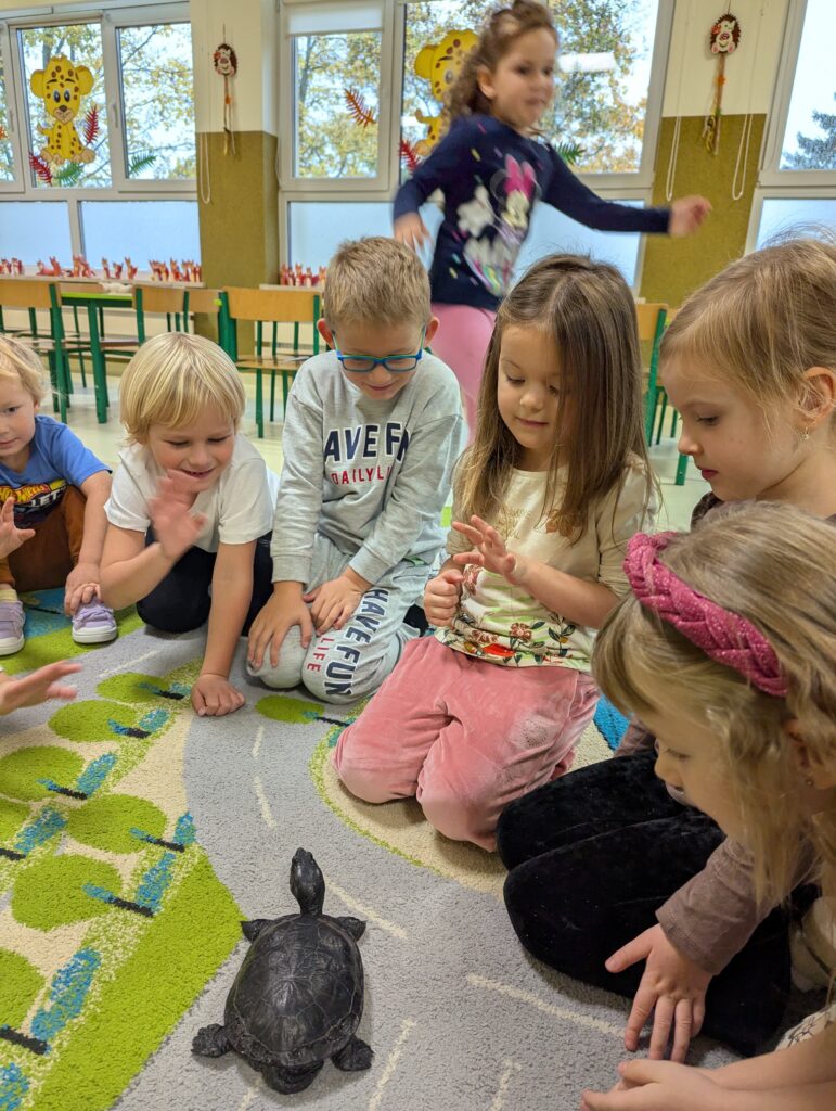 ŻÓŁW TUPTUŚ U TYGRYSKÓW