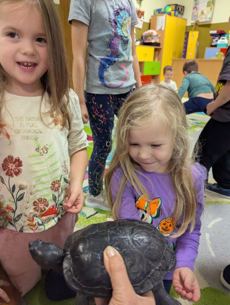 ŻÓŁW TUPTUŚ U TYGRYSKÓW