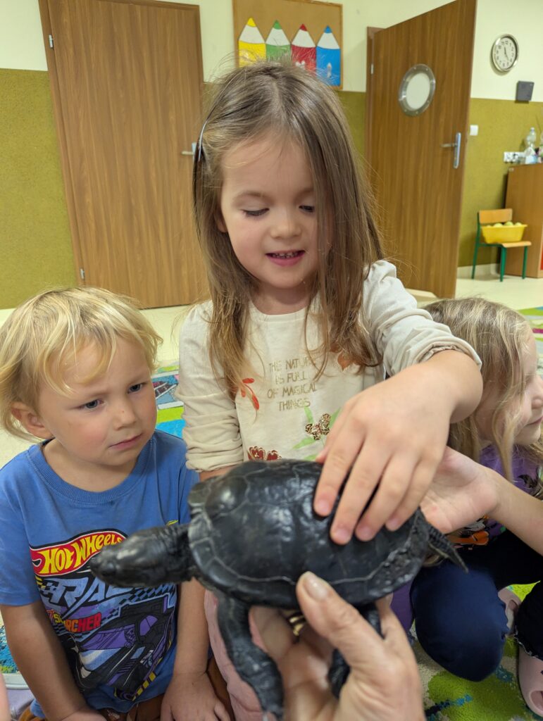 ŻÓŁW TUPTUŚ U TYGRYSKÓW