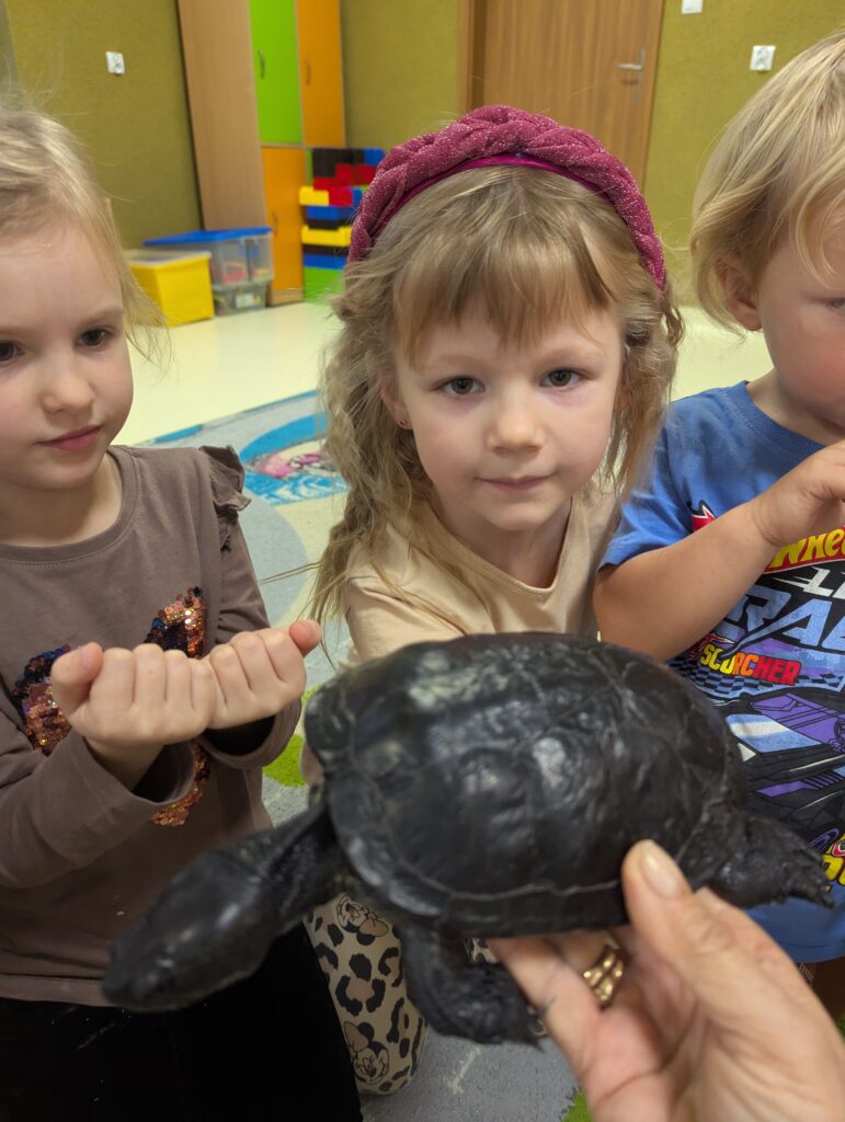 ŻÓŁW TUPTUŚ U TYGRYSKÓW