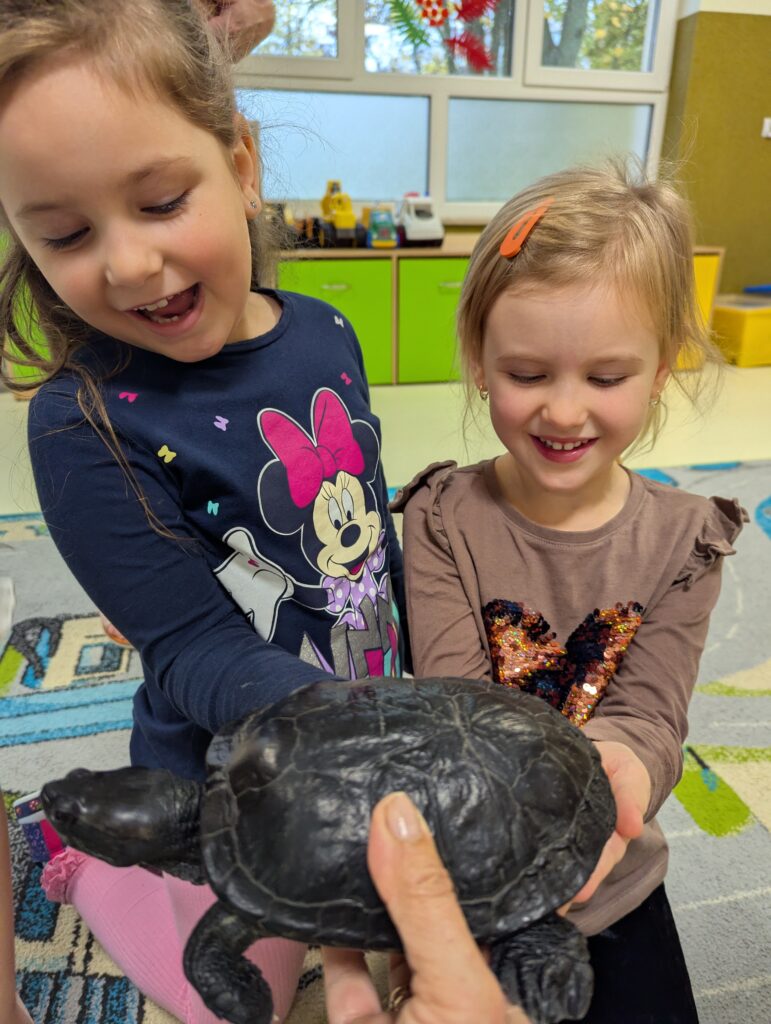 ŻÓŁW TUPTUŚ U TYGRYSKÓW