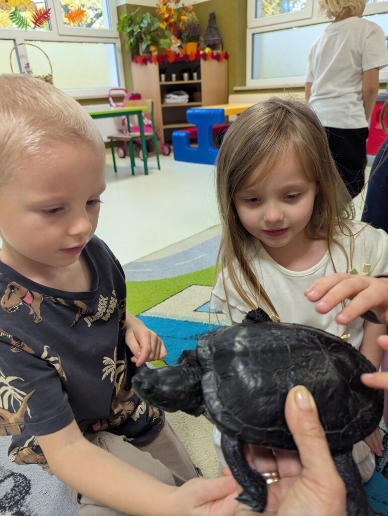 ŻÓŁW TUPTUŚ U TYGRYSKÓW