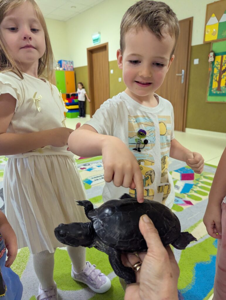 ŻÓŁW TUPTUŚ U TYGRYSKÓW