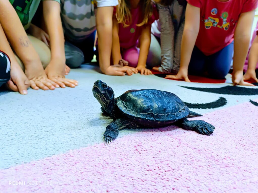 "Motylki" były niezwykle szczęśliwe z wizyty wyjątkowego gościa "Tuptusia".