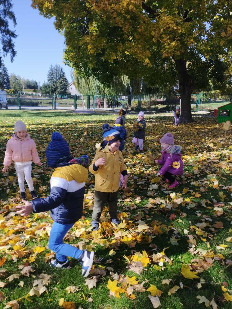 POSZUKIWANIE DARÓW JESIENI- GRUPA PAPUŻKI