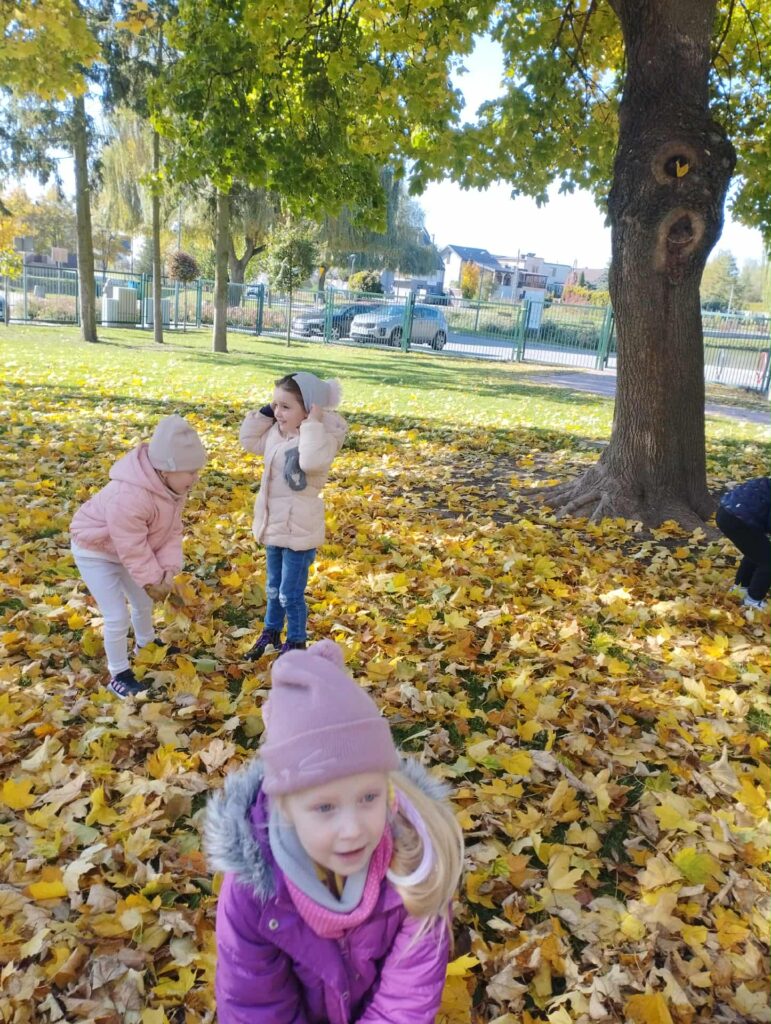 POSZUKIWANIE DARÓW JESIENI- GRUPA PAPUŻKI