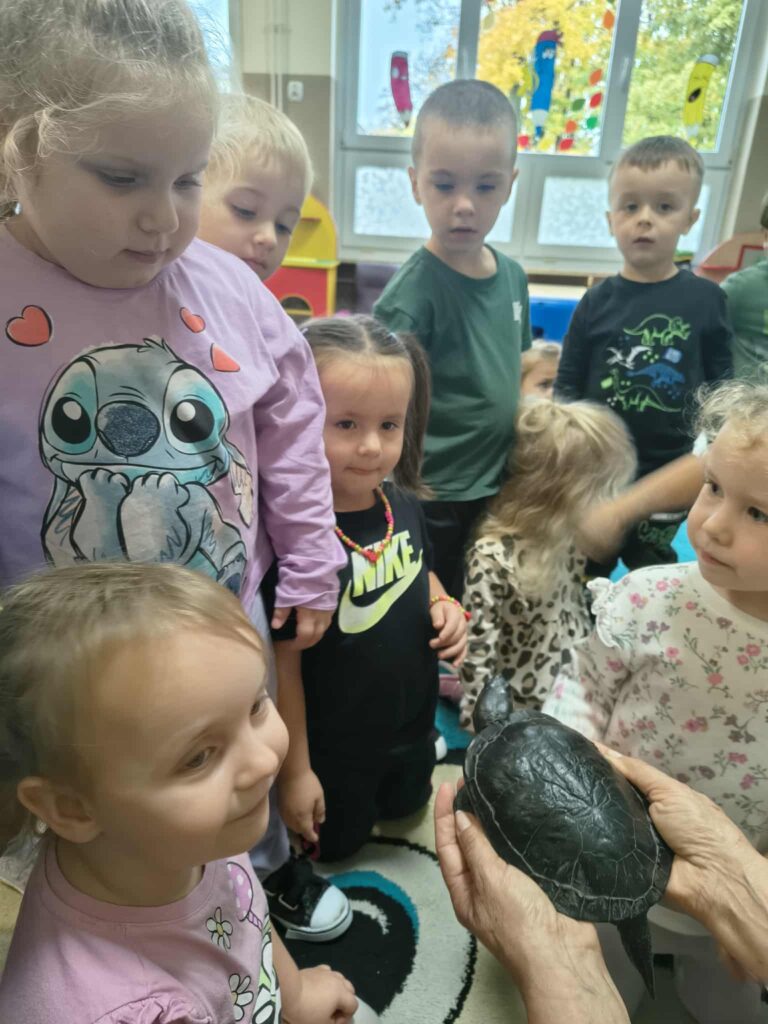 Spotkanie z żółwiem