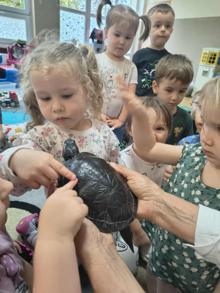 Spotkanie z żółwiem