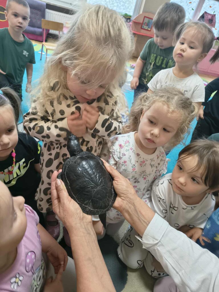 Spotkanie z żółwiem