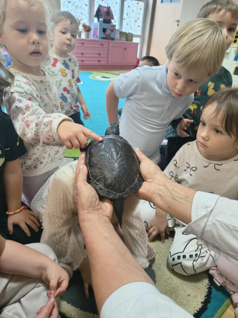 Spotkanie z żółwiem